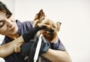 Brushing dogs teeth Mastering Dental Care