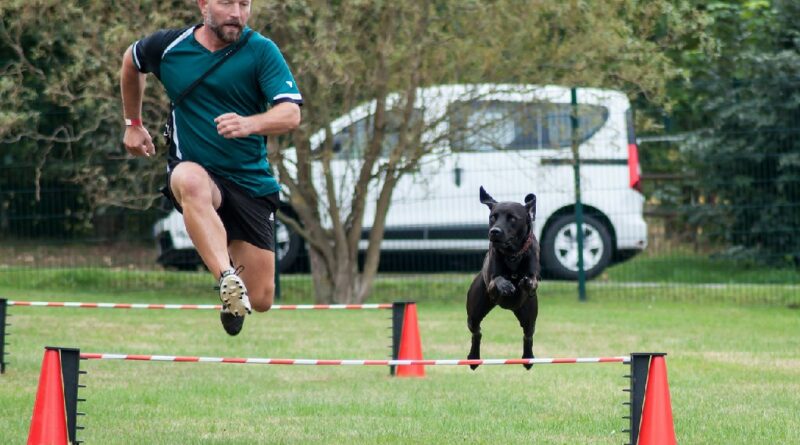 training-and-socializing-pet