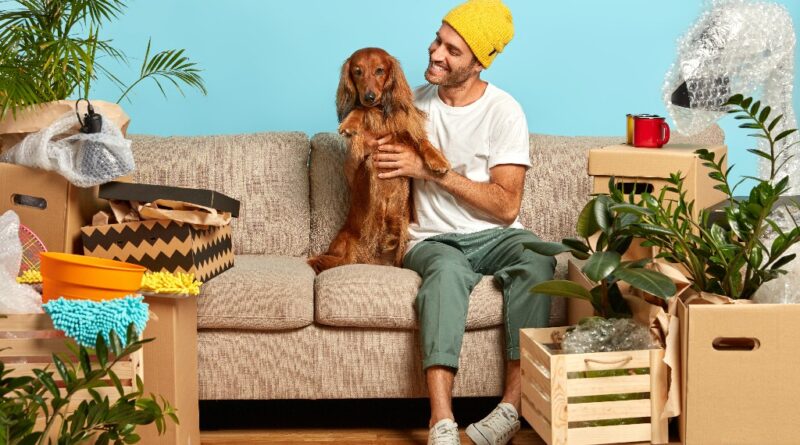 Pet Moving Made Easy